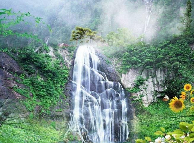 花洒试水机 顶喷试水机 淋浴喷头试水机